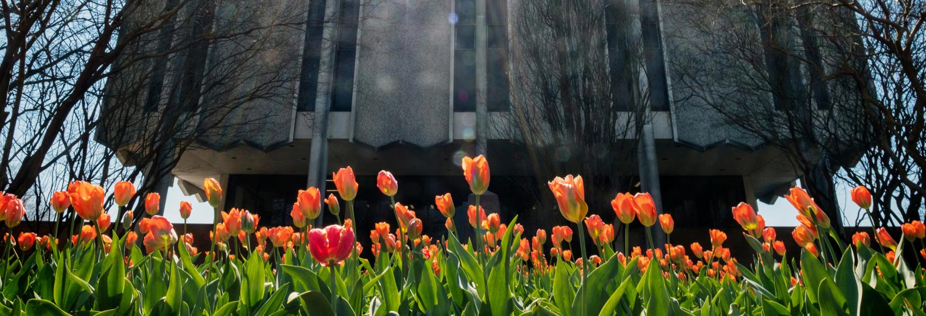 Scenic shots of Mississippi State University campus buildings and areas